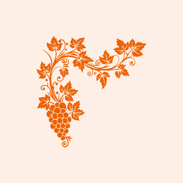 vinobraní